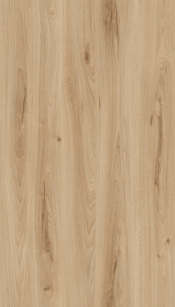 R52 Baysen